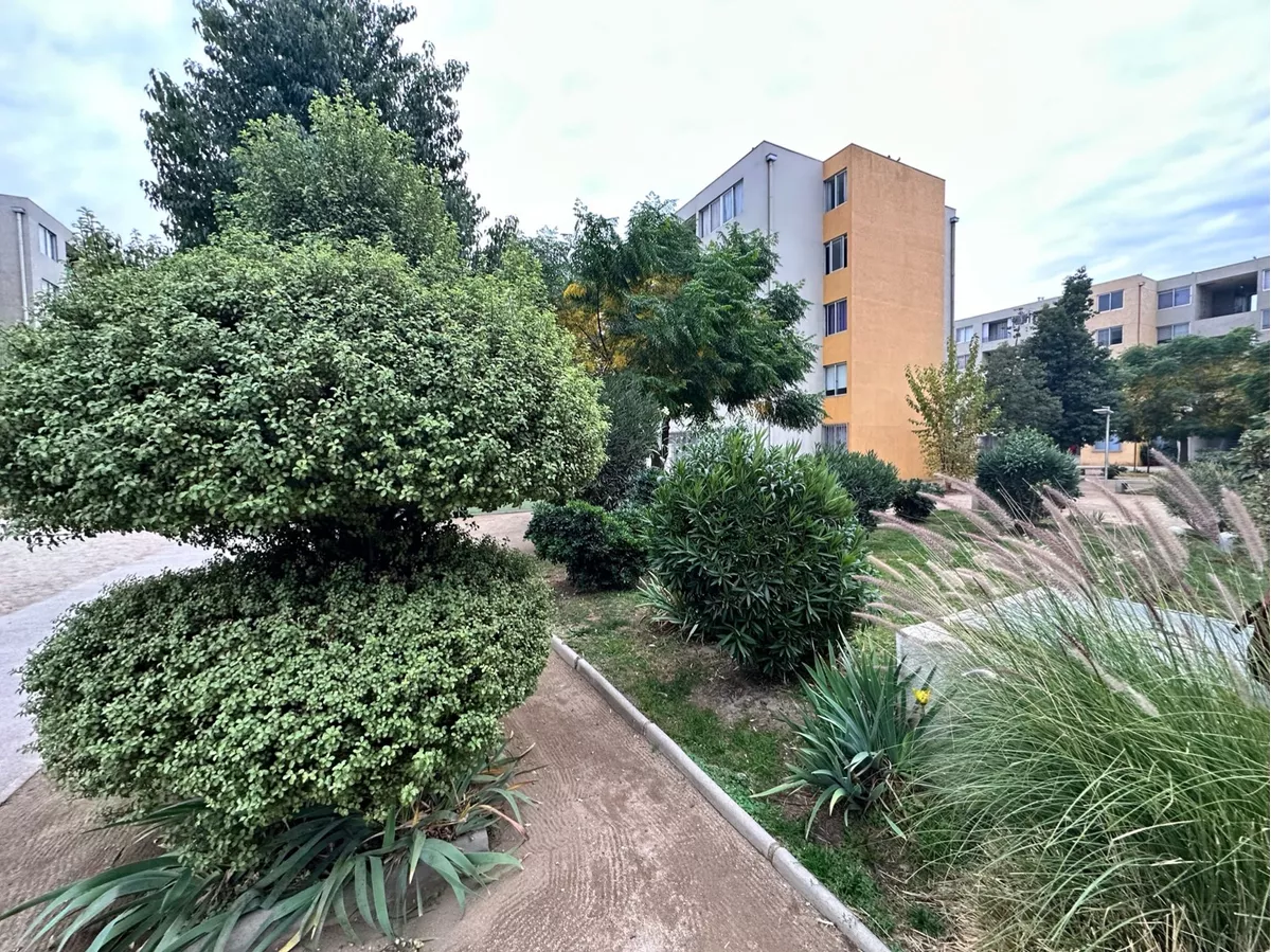 Foto 7