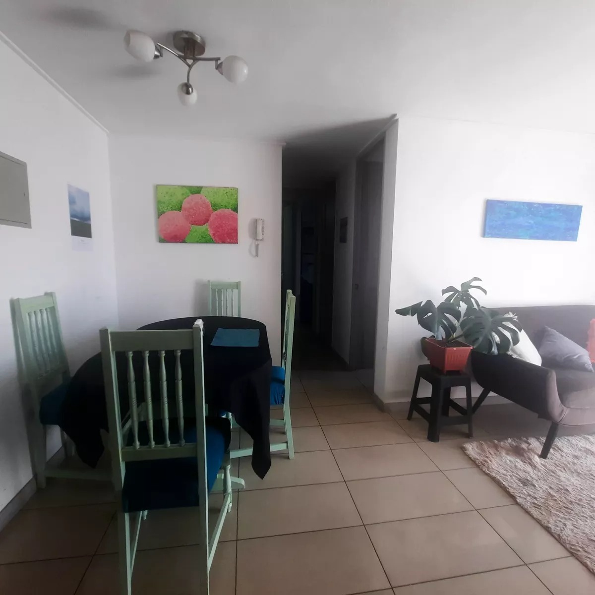 Foto 7